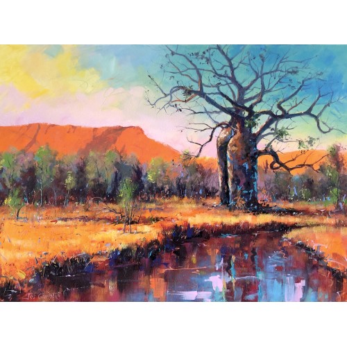 Boab Trees 24